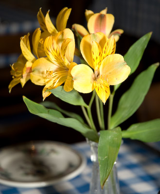 table flowers